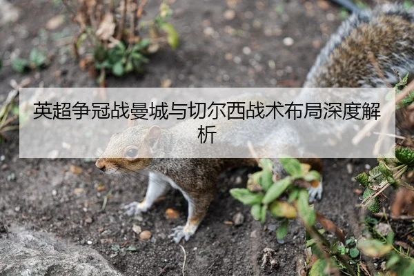 英超争冠战曼城与切尔西战术布局深度解析